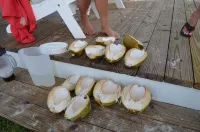 Beachfront large one bedroom studio, adjoining studio can be added to make 2/2.