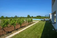 Luxurious oasis, surrounded by olive groves, heated pool Hotels in Butkovici