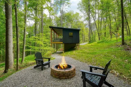 Honeymoon Hollow Cabin ~ Modern Meets Nature