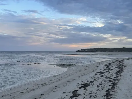 Alloca Beach Shack - Contemporary take on a 1950's beach shack