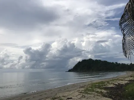 A Happy Paradise Home