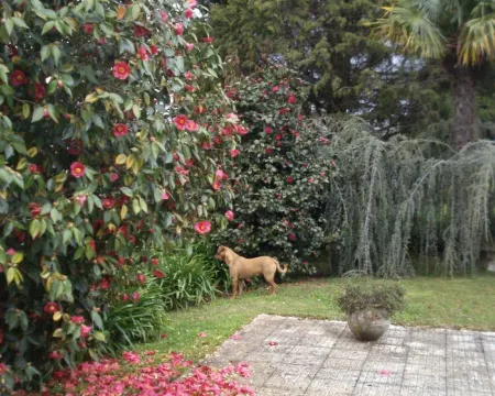 Quinta de Vilar Country House with pool near Porto Hotels in Paredes