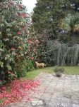 Quinta de Vilar Country House with pool near Porto