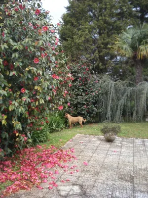 Quinta de Vilar Country House with pool near Porto