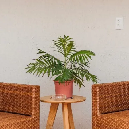Casa Huayacan Entera de un Piso  SIN Escaleras  Terraza Patio Parking