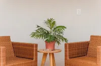 Casa Huayacan Entera de un Piso  SIN Escaleras  Terraza Patio Parking