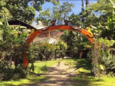 Madre Selva Jungle Hostel Hotels in Cocles