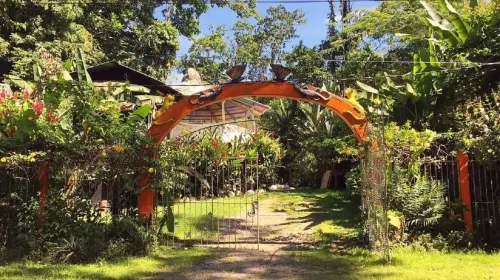 Madre Selva Jungle Hostel Hotels in Cocles