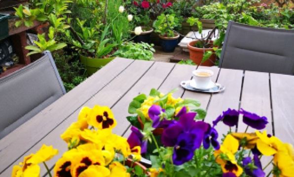 B&B La Ducale - Housity