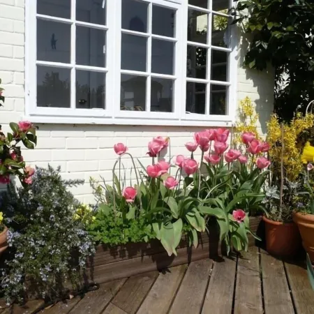 The Mews Cottage