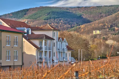 Das Prinzregent Hotels in Edenkoben