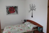 Zimmer Dora Dead Sea