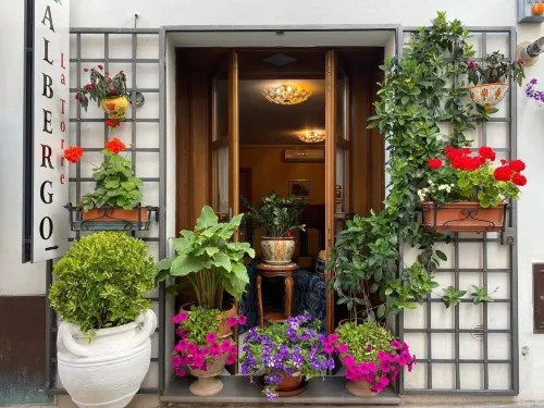 Hotel la Torre - Pet friendly