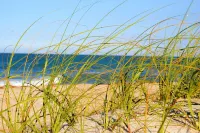 Seaspray Surf Lodge - Beach
