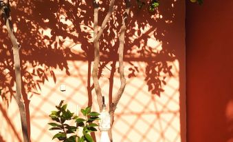Maison d'hôtes le Petit Jardin Marrakech