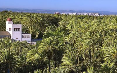 ホテル周辺 ホテル アレカの写真