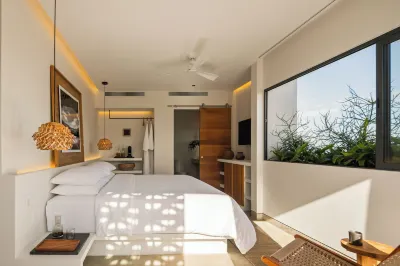 The Tryst Puerto Vallarta Lgbt Hotel Hotel a 