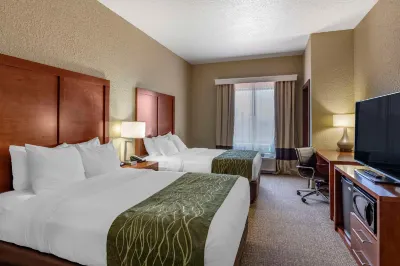 Comfort Inn & Suites Hotel in zona Campidoglio