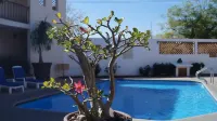 Hotel Las Palomas - familiaux