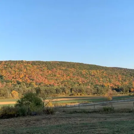2 Valley View Family Farm Apartment