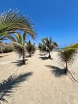 La Morada Punta SAL - Casa de Playa Frente Al Mar - Villas