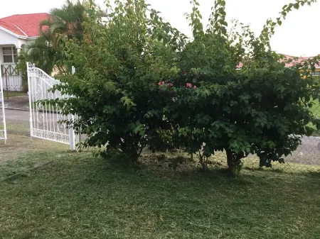 HEYWOODS HOUSE : Escape to Barbados !