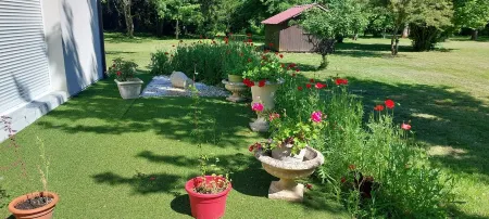 Maison Location Saisonnière Отели в г. Сиврак-ан-Медок