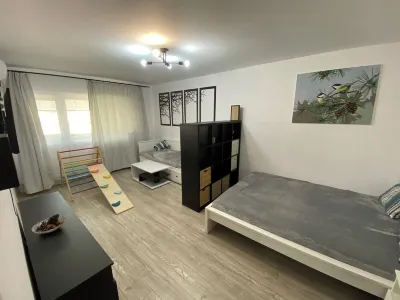 Large Studio with King size Bed + Day bed, AC, Parking, Child-Friendly and Toys のホテル