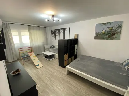 Large Studio with King size Bed + Day bed, AC, Parking, Child-Friendly and Toys Отели рядом с достопримечательностью «'Mihai Codreanu' Memorial House - 'the Sonnet Villa'»