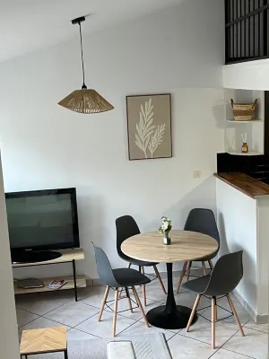 Beautiful T3 bis duplex near town center Hotels in Sens