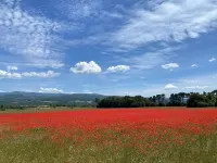 Ravissant Mas à Saignon Très Confortable, Piscine, Grand Parc, Animaux Acceptés