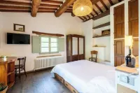 Podere Tepolino: among olive trees, quiet and Monte Amiata