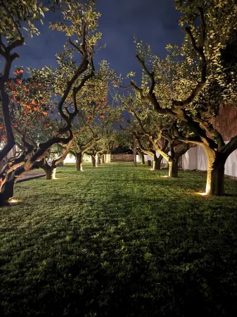 Don Salvatore Resort