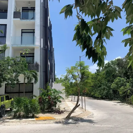 Perfect Studio Light and Nature in Aldea Zama