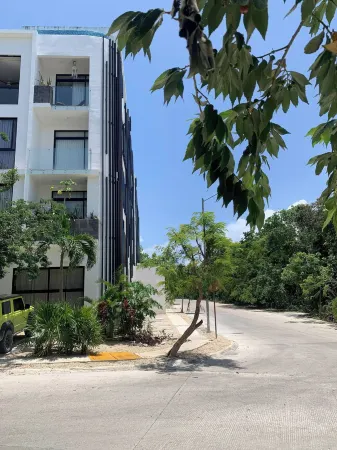 Perfect Studio Light and Nature in Aldea Zama