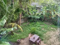 Cafofo_amazônia Selva Tropical y Playa !