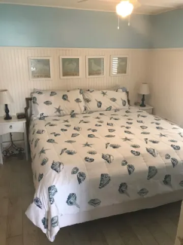 Direct Oceanfront Condo and Drive on the Beach Access!!