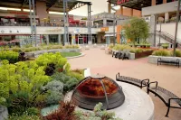 Charming 2-bedroom condo with Golden Gate and Bay Bridge View in Emeryville Hotels in Emeryville