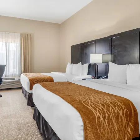 Comfort Inn & Suites Atlanta-Smyrna