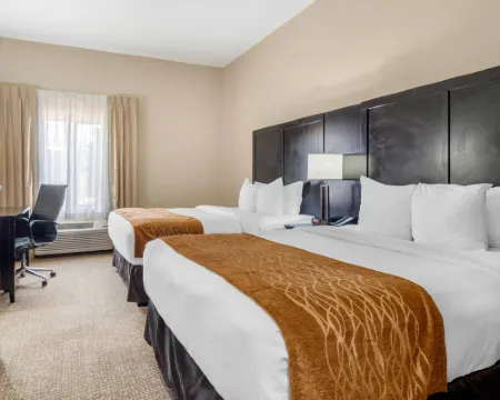 コンフォート・イン＆スイーツ・アトランタ/スミーナ スマーナのホテル