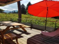Ground floor apapartment in Chamrousse