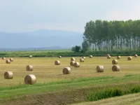 Sunlit home with pool