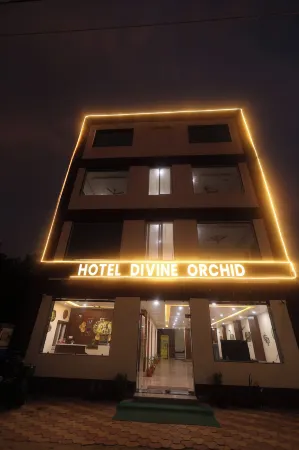 Hotel Divine Orchid Отели в г. Панигаон Хадер