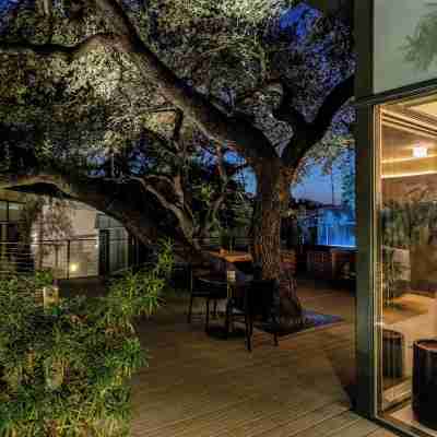 樹屋飯店 Hotel Exterior