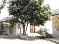 Shyam Luxurious Huts & Guest House Hotels near Jeen Mata Mandir