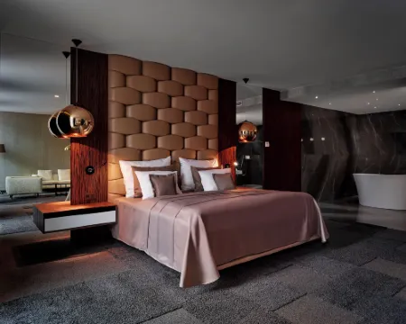 Theatre Hotel Hotels in Olomouc