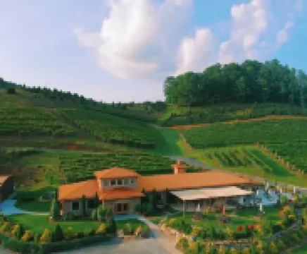 Near Linville Gorge & Ski Resorts (sleeps 8)