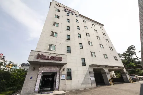 Hwaseong Hill Side Hot Spring Hotel - 3-Star