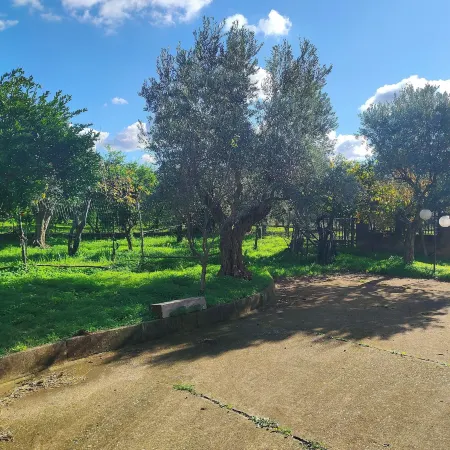 Holiday Calabria Rooms