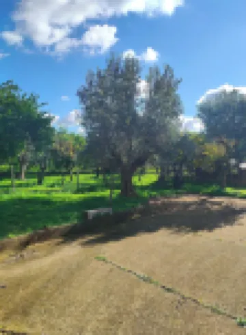 假日卡拉布里亞客房